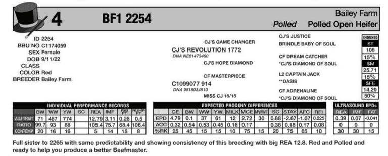 OPEN HEIFER: BF1 2254
