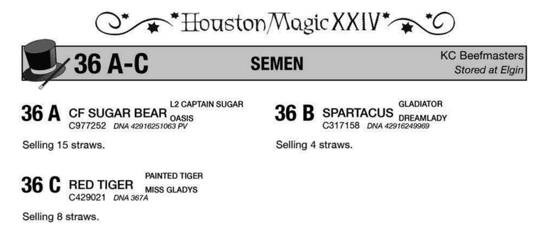 SEMEN PACKAGE: CF SUGAR BEAR