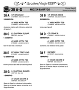 EMBRYO PACKAGE: CF PRIME 8 x cf MISS KITTY 736