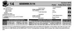 BRED HEIFER: GOODWIN 21/14