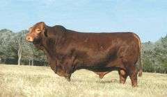 EMBRYO PACKAGE: INFINITY x L.A. TIGRESS