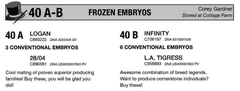 EMBRYO PACKAGE: INFINITY x L.A. TIGRESS