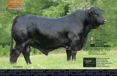 SEMEN PACKAGE: EMS RING OF FIRE