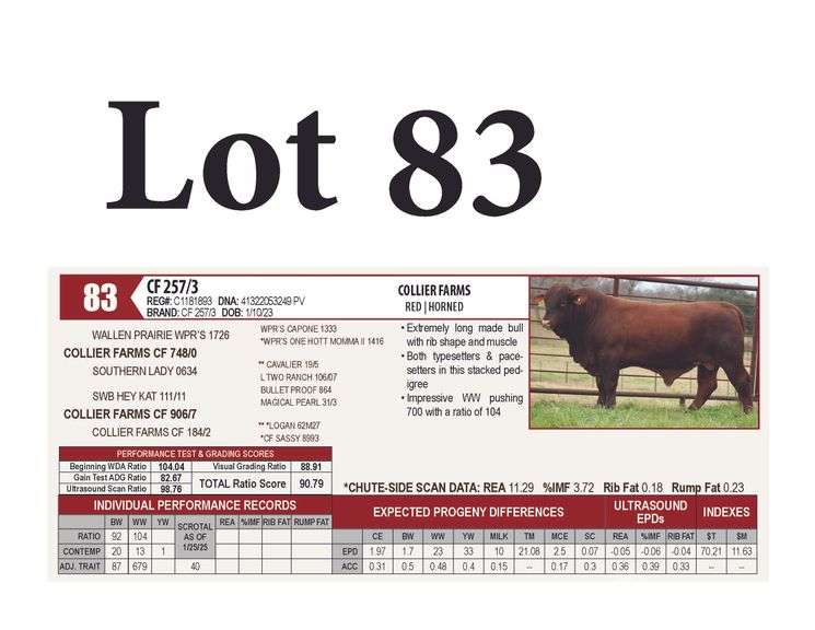CF 257/3