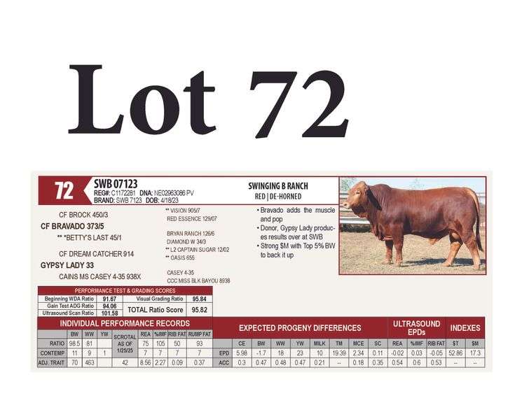 SWB 07123