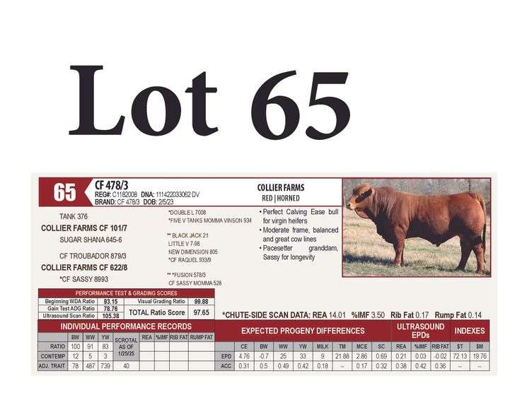 CF 478/3