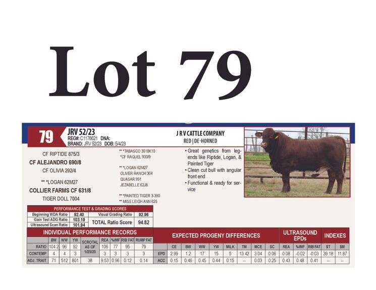 JRV 52/23