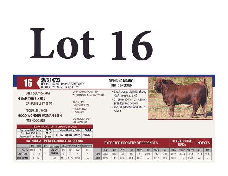 SWB 14723