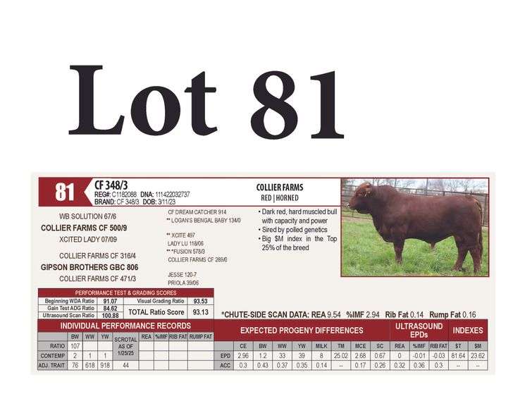 CF 348/3
