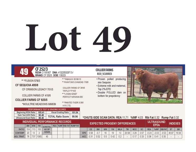 CF 252/3