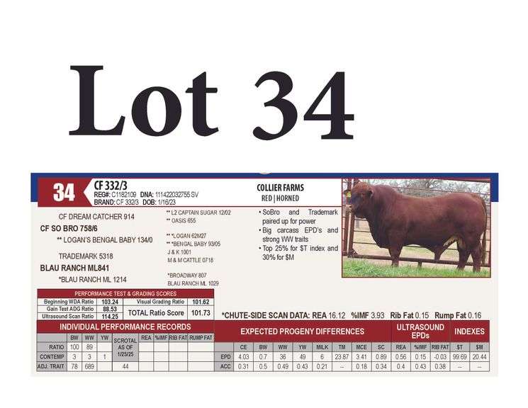 CF 332/3