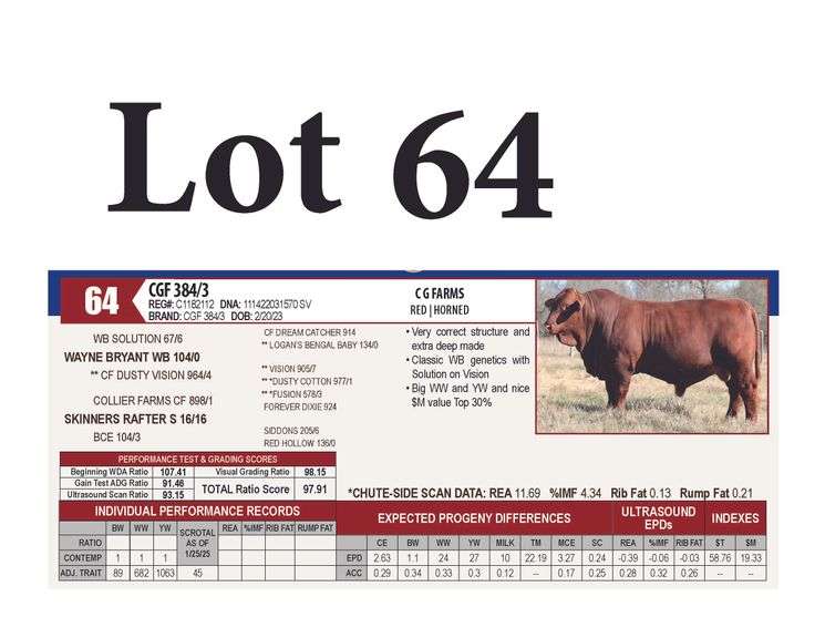 CGF 384/3