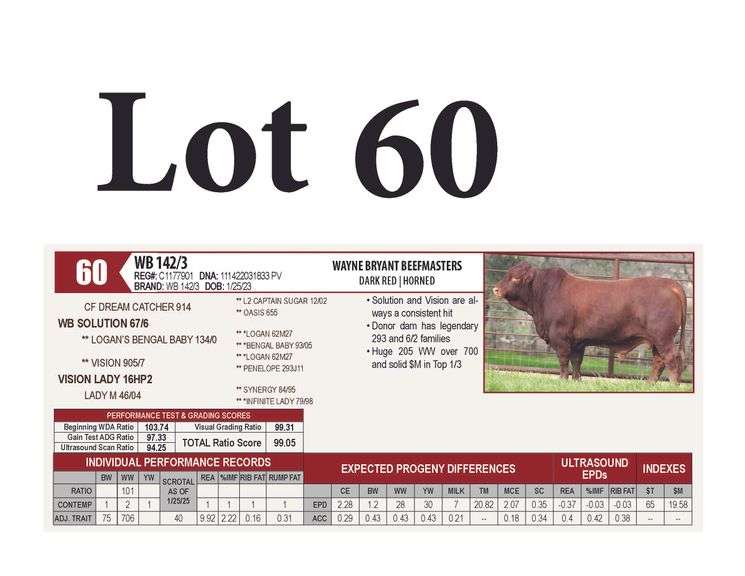 WB 142/3