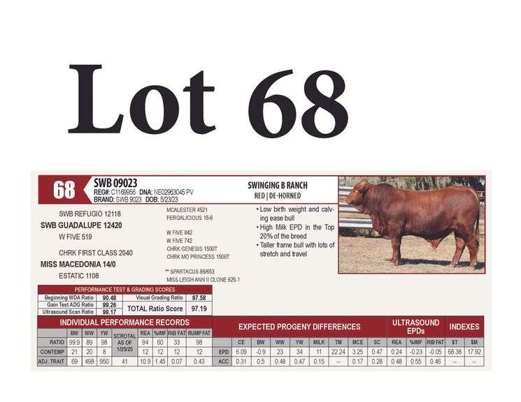 SWB 09023