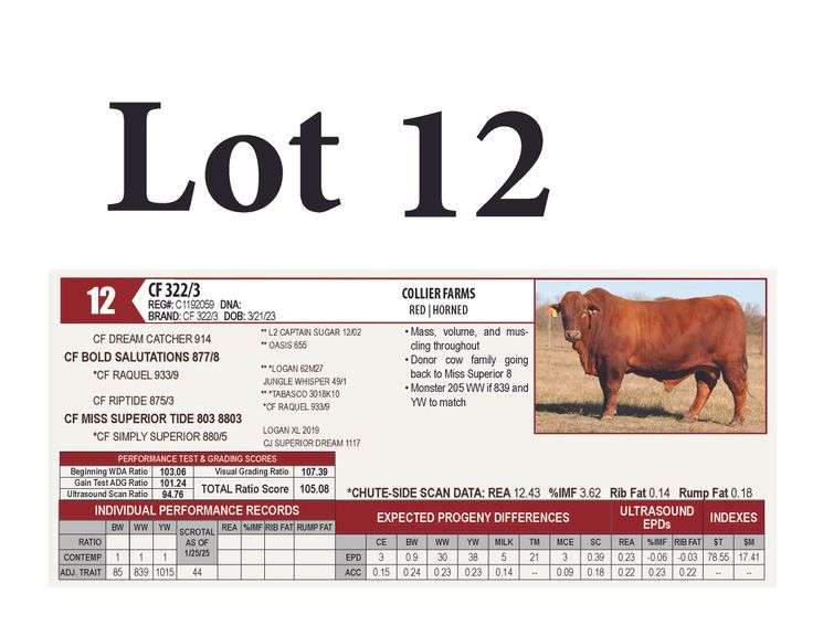 CF 322/3