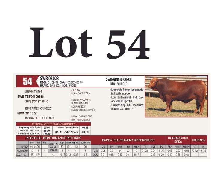 SWB 03023