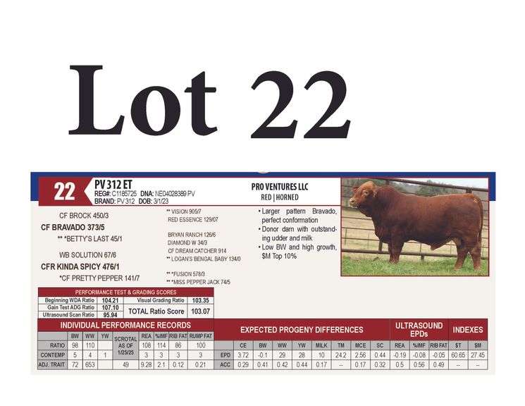 PV 312 ET