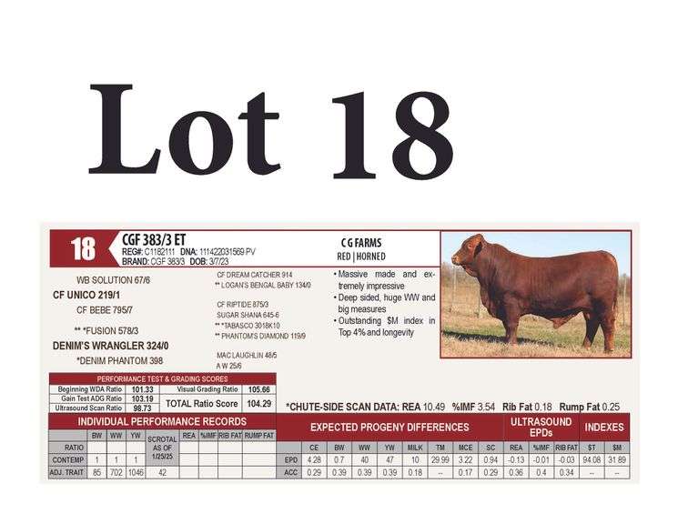 CGF 383/3 ET