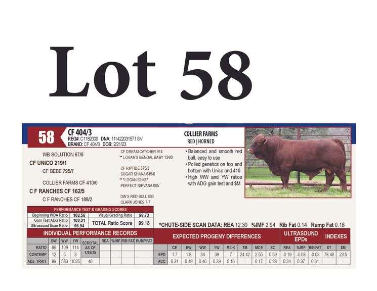 CF 404/3
