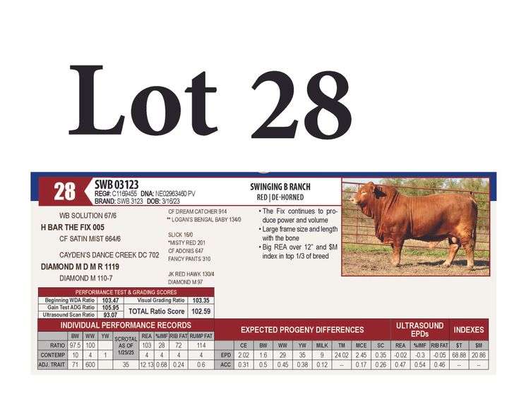 SWB 03123