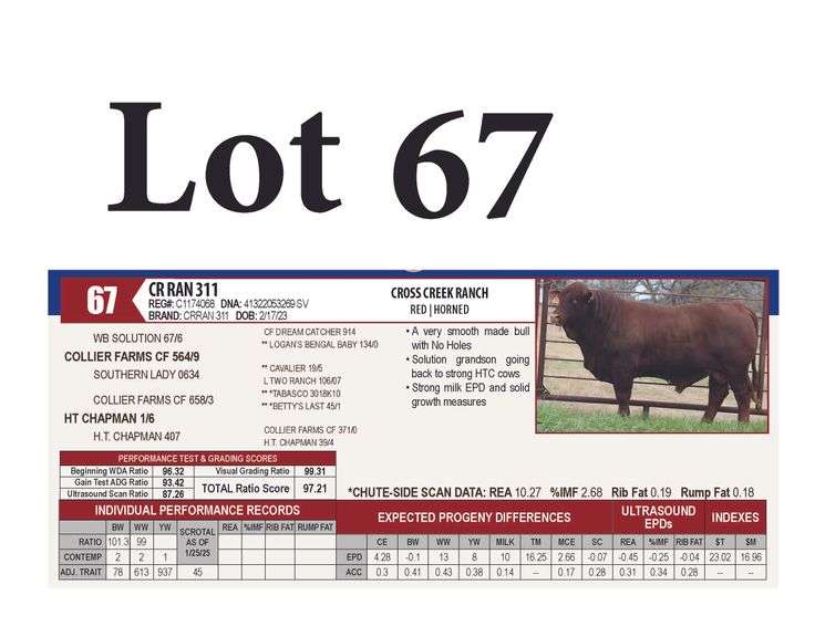 CR RAN 311