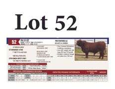 PV 311 ET
