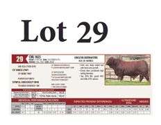 CWL 1023