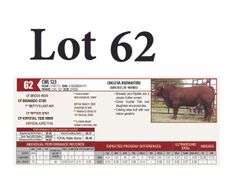 CWL 123