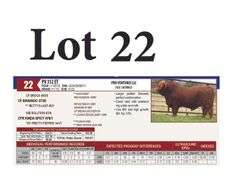 PV 312 ET