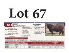 CR RAN 311
