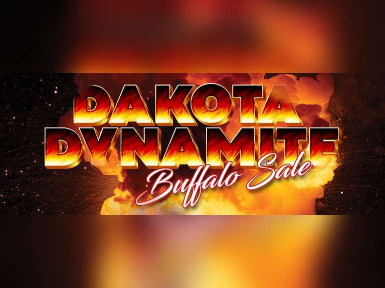 Dakota Dynamite Performance Tested Buffalo Simulcast Auction