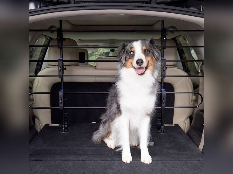 PetSafe Happy Ride Metal Dog Barrier SeeThrough Tubular Design