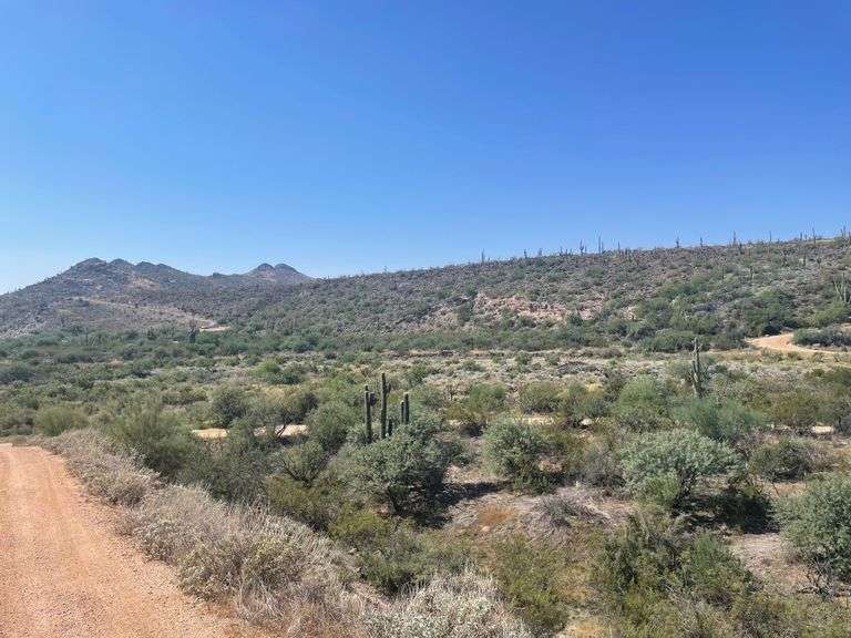 Arizona Land Auction RES Auction Services