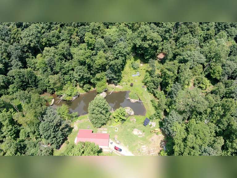 Absolute Secluded Home and Property Auction