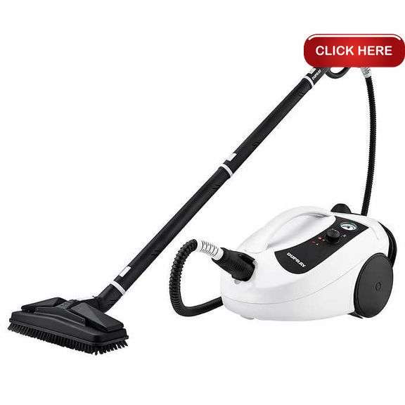 Dupray One steam cleaner Rideau Auctions
