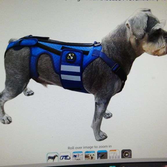 Coodeo Dog Back Brace for Dogs Arthritis Rio Grande Trade