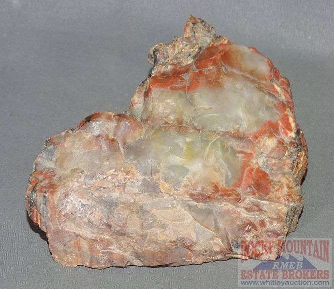 3 Pieces of Petrified Wood. All for one money. Rocky Mountain Estate