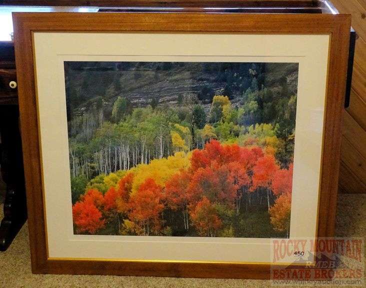 "Changing Colors, McClure Pass, CO" beautiful David L. artist signed custom framed & matted