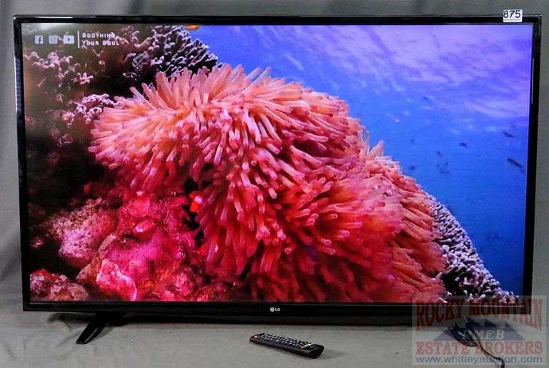 LG 49" full HD 1080p Smart LED TV with remote, Model 49LH570AUE. This