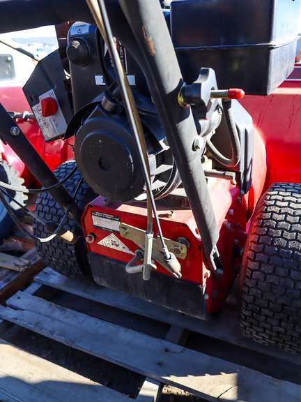 Snow Chief Gas Snowblower, 32in Width, 10 HP - Roller Auction