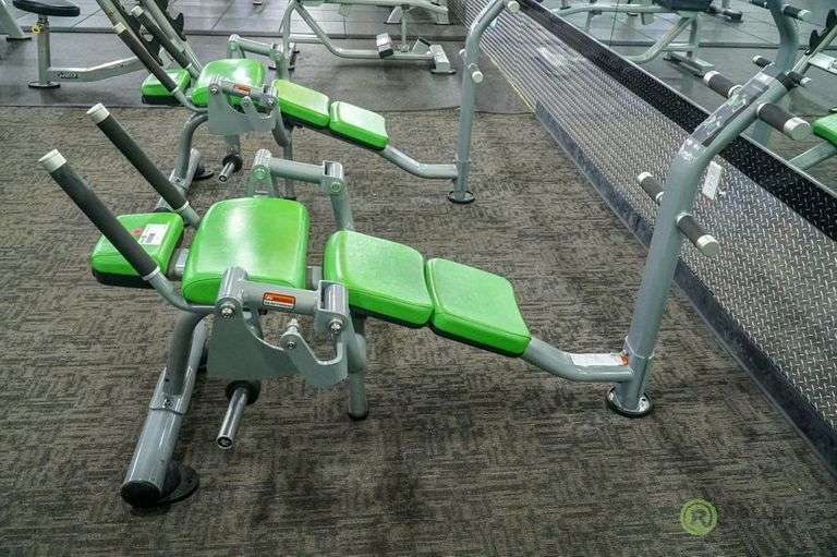 Matrix MGPL50 Ab Crunch Bench, Plate Loaded Roller Auctions