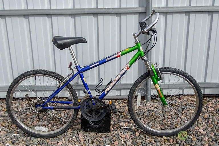 Giant Iguana Rigid Frame Mountain Bike and Free Spirit Tailwind Front