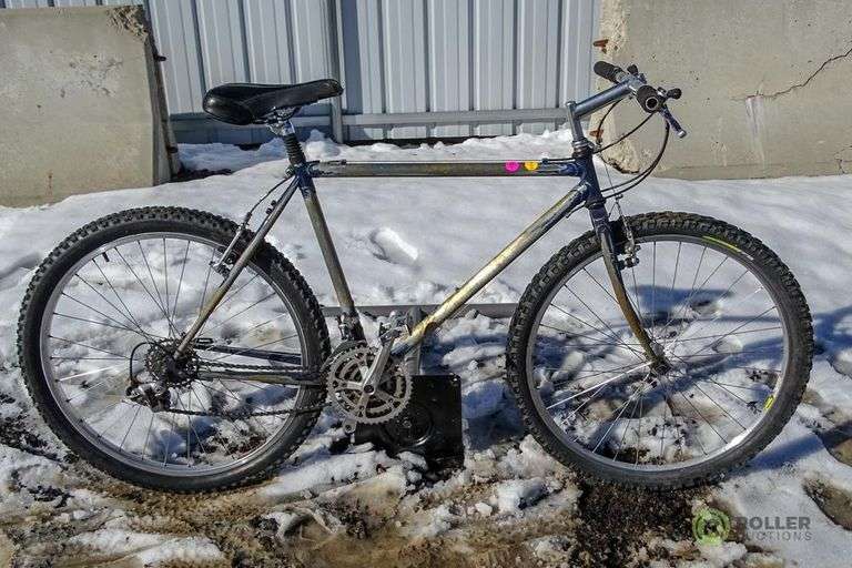 Specialized Rigid Frame Mountain Bike Roller Auctions