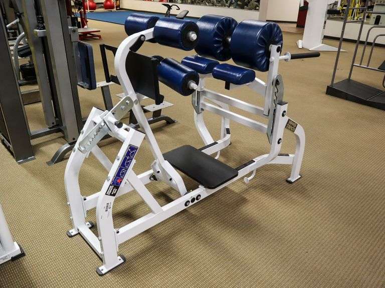 Hammer Strength BWGM Glute / Hamstring Body Weight Machine Roller Auctions