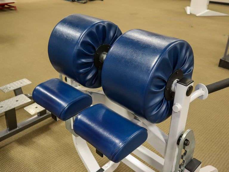 Hammer Strength BWGM Glute / Hamstring Body Weight Machine Roller Auctions