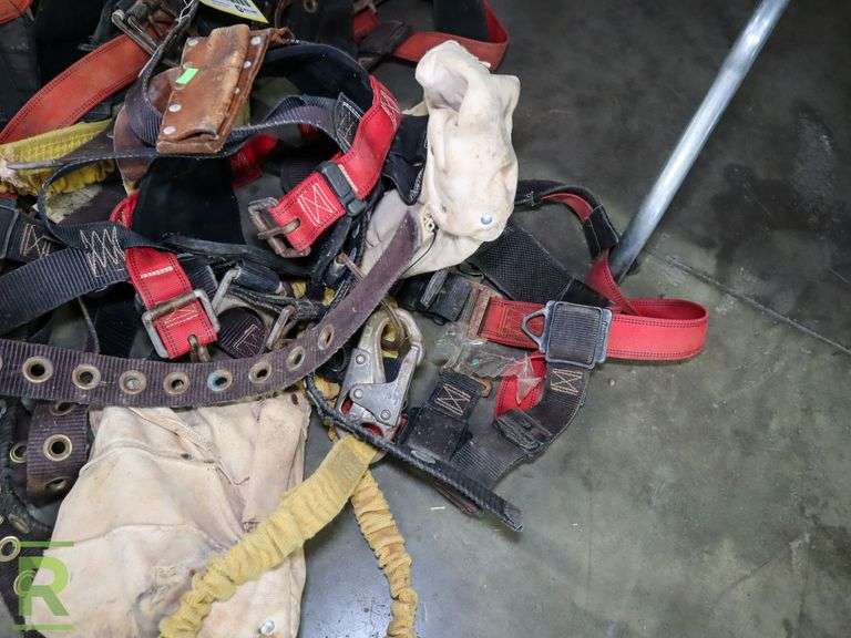 (3) Harnesses - Roller Auctions