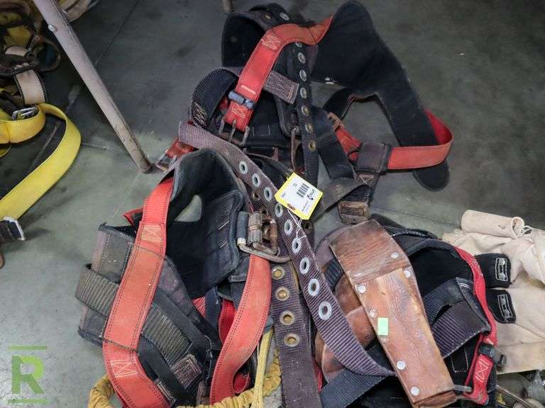 (3) Harnesses - Roller Auctions