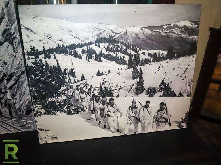 (2) Wall Art - Roller Auctions