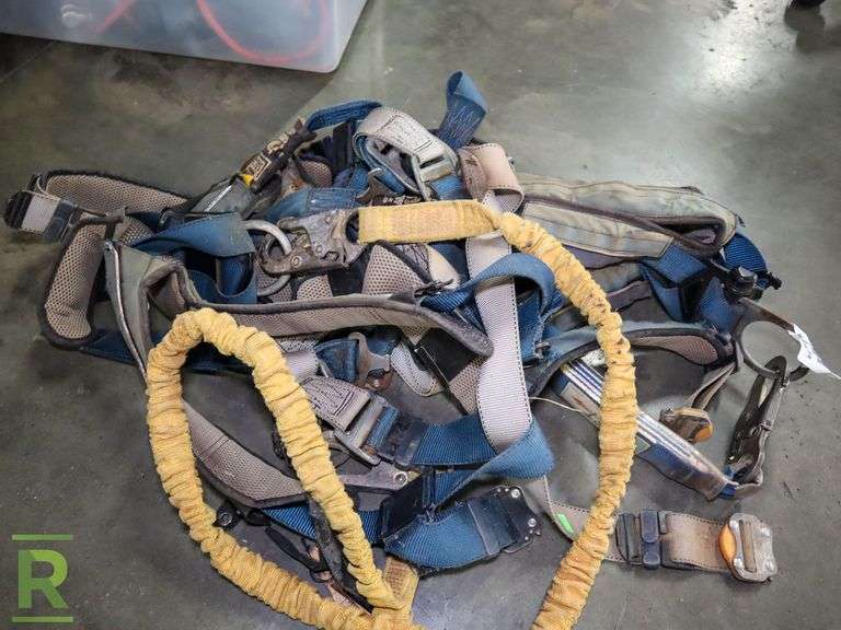 (2) Sala Harnesses - Roller Auctions
