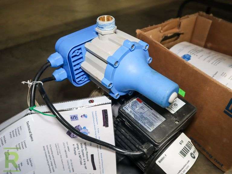 Dayton Automatic Constant Pressure Pump - Roller Auctions